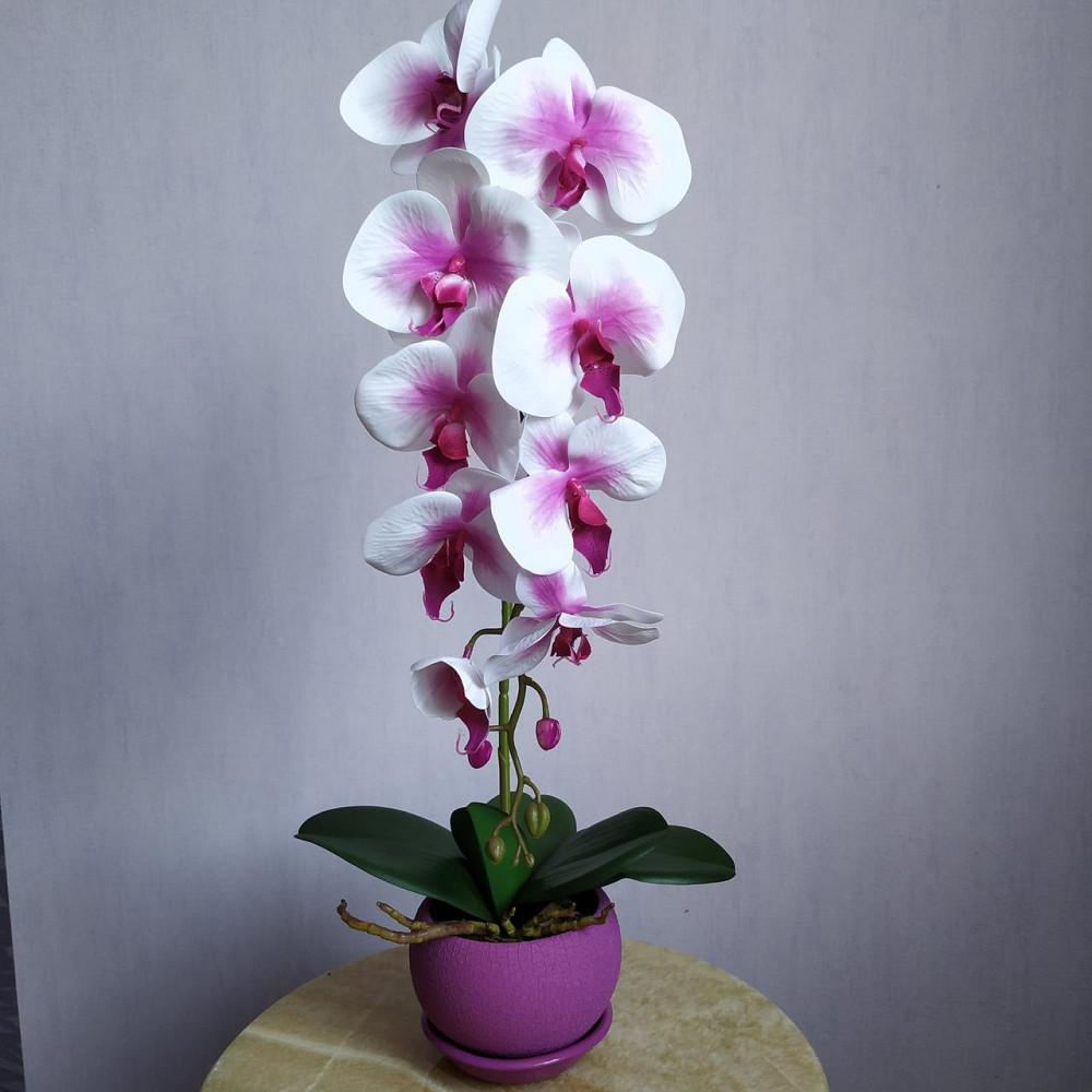 Штучна латексна орхідея VIP у малиновому керамічному кашпо на одну гілку біло-бузкова Дніпро - фото 1