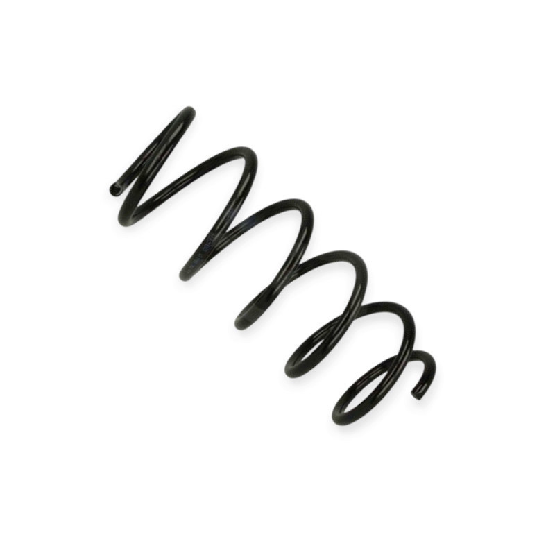 Пружина Citroen Nemo, Peugeot Bipper, Fiat Qubo 1.3-1.4 08- передняя Мукачево - изображение 1