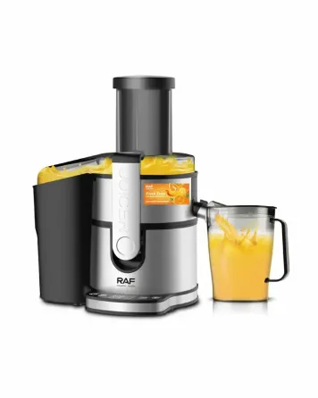Соковыжималка из нержавеющей стали RAF 2700 для кухни соковыжималка для фруктов Коломия