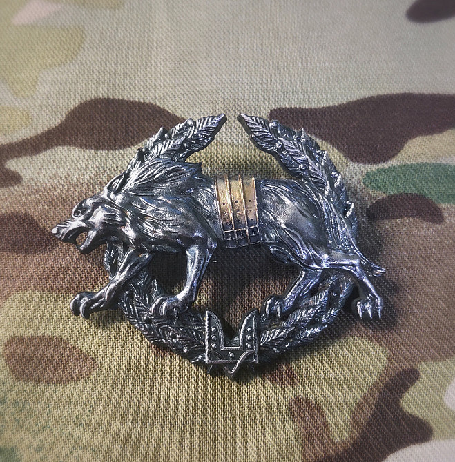 Беретний знак «Сили спеціальних операцій України» Запоріжжя - фото 6