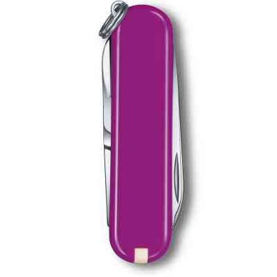 Ніж Victorinox Classic SD Colors Tasty Grape (0.6223.52G) Вінниця