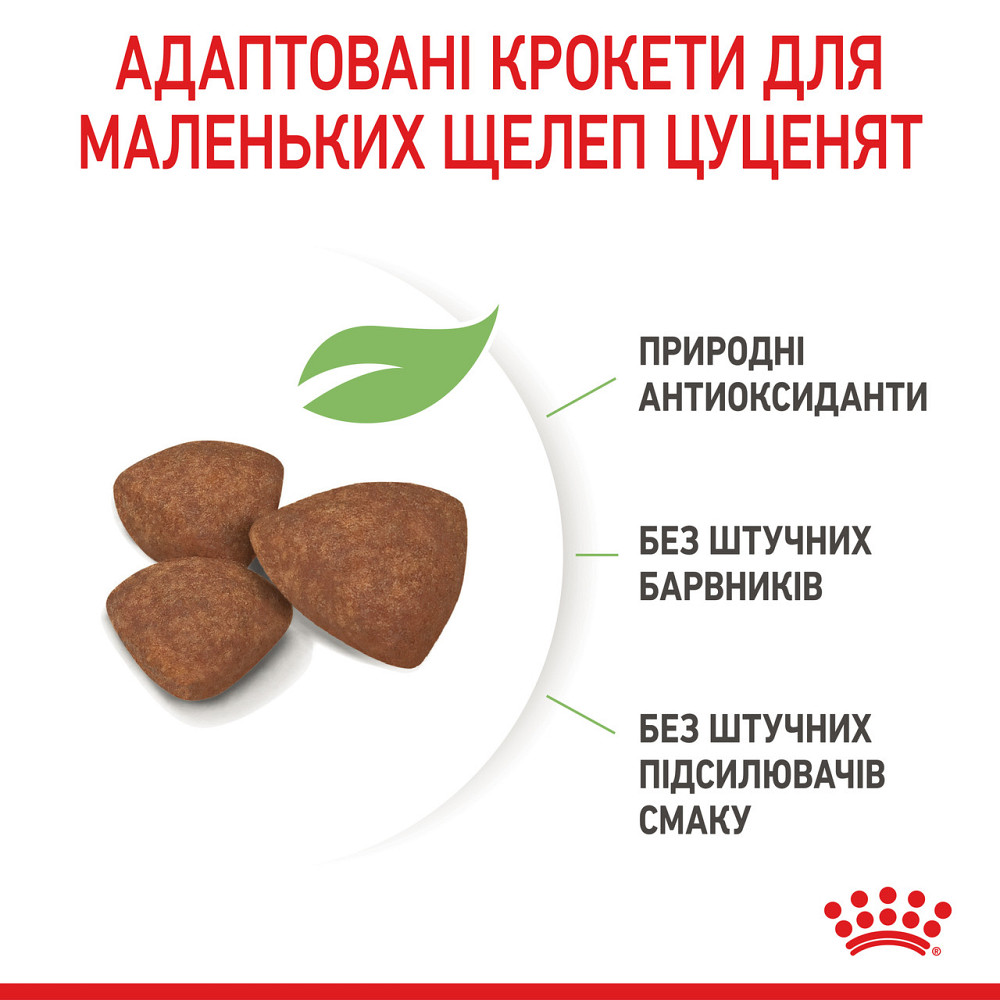 Роуал Canin Mini Puppy (Рояв Канін Міні Паппі) сухий корм для цуценят маленьких порід 8 кілограмів. Запоріжжя - фото 3