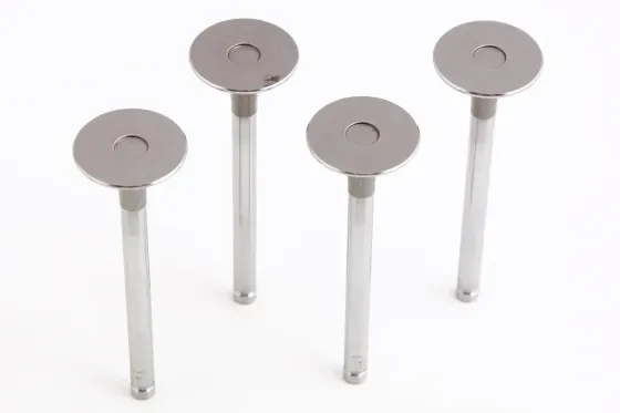 Клапана Таврия AMP впускные (4 шт.) Винница