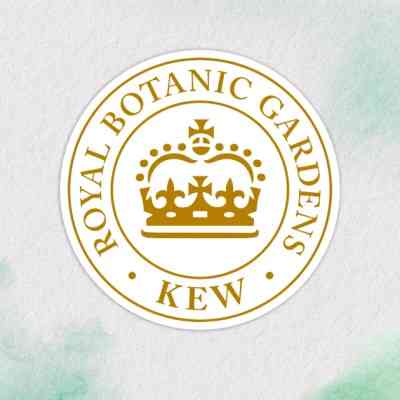 Маска для волосся Herbal Essences Арганова олія Відновлювальна 300 мл (8700216210966) Вінниця