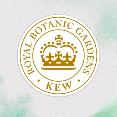 Маска для волос Herbal Essences Аргановое масло Восстанавливающая 300 мл (8700216210966) Винница - изображение 3