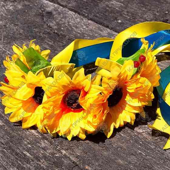 Вінок на обідку Соломія Київ