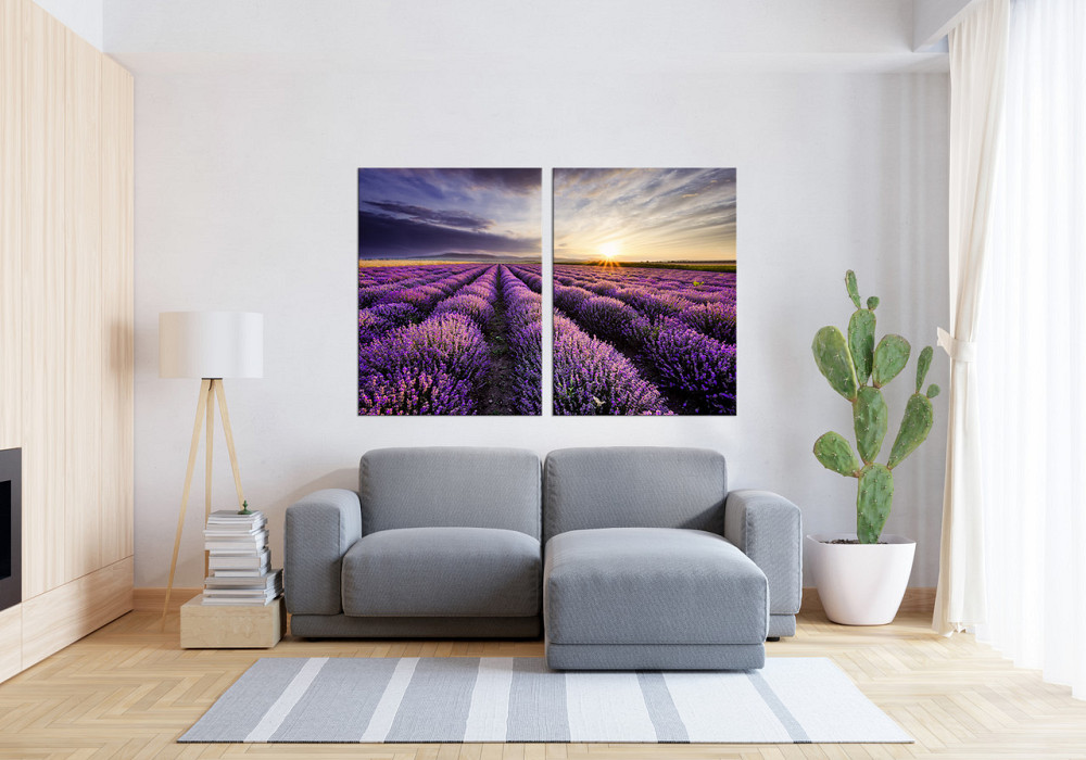 Модульна картина у вітальню/ спальню  Лавандове поле       TLV-2_109 Київ - фото 3