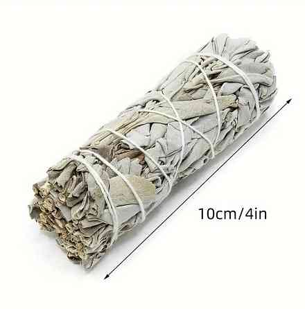 Калифорнийский белоснежный шалфей для окуривания (White Sage) пучок 10 см. Киев