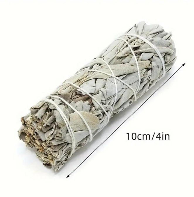Каліфорнійська біла шавлія для обкурювання (White Sage) пучок 10 см. Київ - фото 2