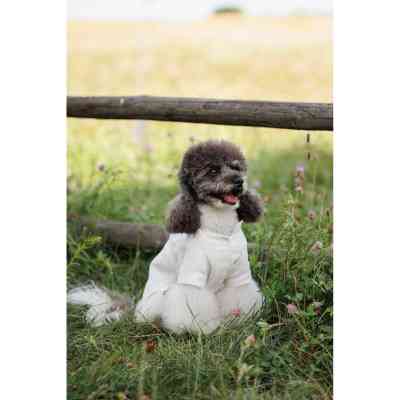 Футболка для тварин Pet Fashion Ostap XS2 (4823082439300) Вінниця