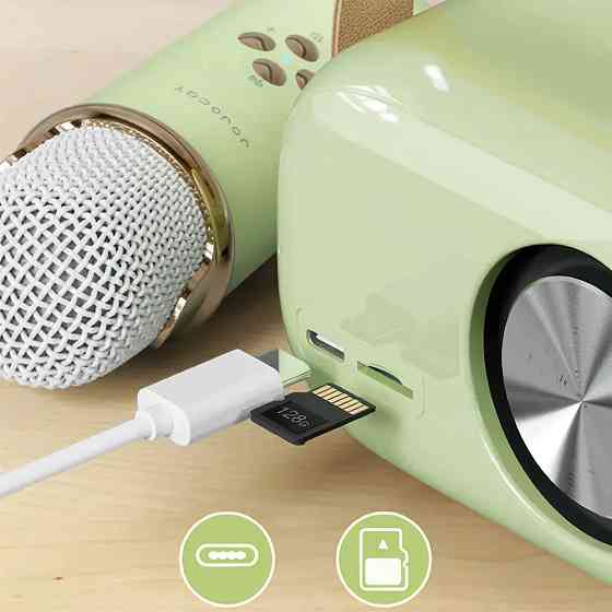 Колонка для караоке з мікрофоном на акумуляторі, Зелений / Блютуз колонка з мікрофоном / Караоке колонка Київ