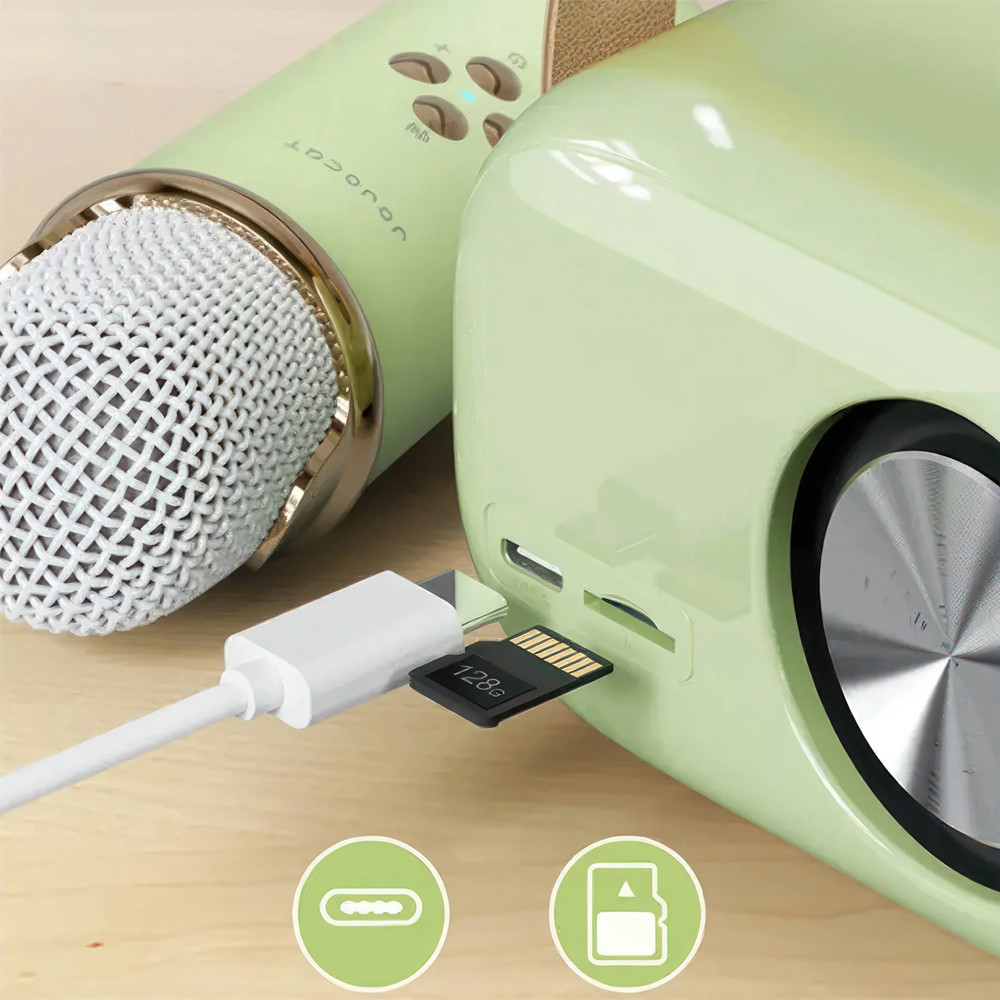 Колонка для караоке з мікрофоном на акумуляторі, Зелений / Блютуз колонка з мікрофоном / Караоке колонка Київ - фото 5