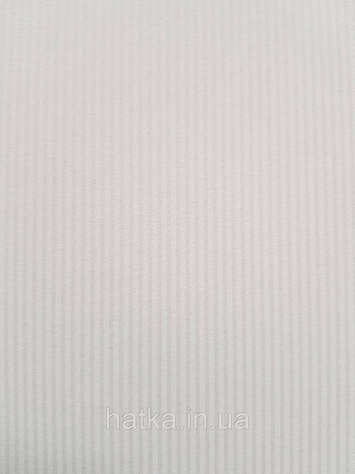 Шпалери флізелінові еко Rasch Sophia 0.53х10 смужки тонкі білі світло-сірі Київ - фото 1