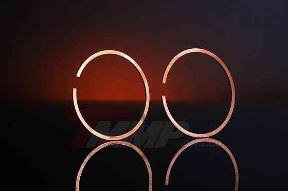 Кольца бензопила St M 250 (Ø42,5mm, пластиковая коробка) Мукачево