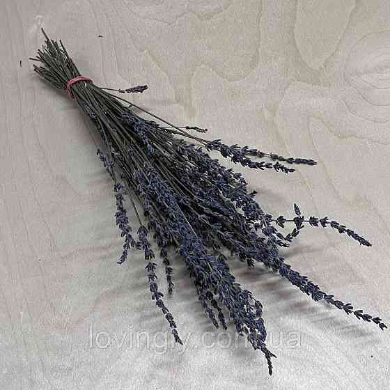 Веточки лавандина для флористики декора и творчества 30-40 см 50шт. Ирпень