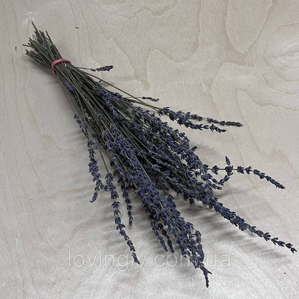 Веточки лавандина для флористики декора и творчества 30-40 см 50шт. Ирпень - изображение 2