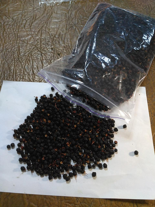 Ягоди бузини (Ягоды бузины) 100г master sem Киев - изображение 2