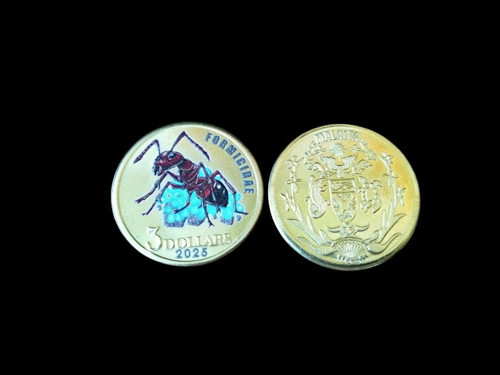 острів Малаіта 3 доллара 2025 МУРАХА Полтава - изображение 1