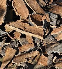 Кора дуба,100г master sem Киев - изображение 1