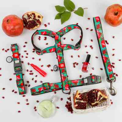 Нашийник для тварин WAUDOG Nylon з QR адресником "Гранати" пластиковий фастекс XL (283-4052) Вінниця