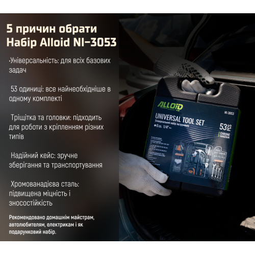 Набір інструменту Alloid 53 предмета NI-3053 Одеса - фото 8