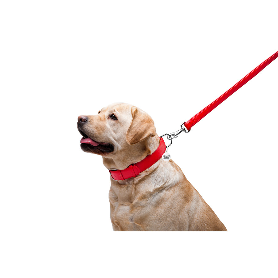 Повідець для собак шкіряний WAUDOG Glamour, Ш 25 мм, Дов 122 см червоний Коломыя - изображение 3