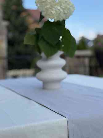 Ecotton Ранер доріжка Ecotton DUCK 45x170 см для обіднього столу водовідштовхувальна сірого кол Коломия