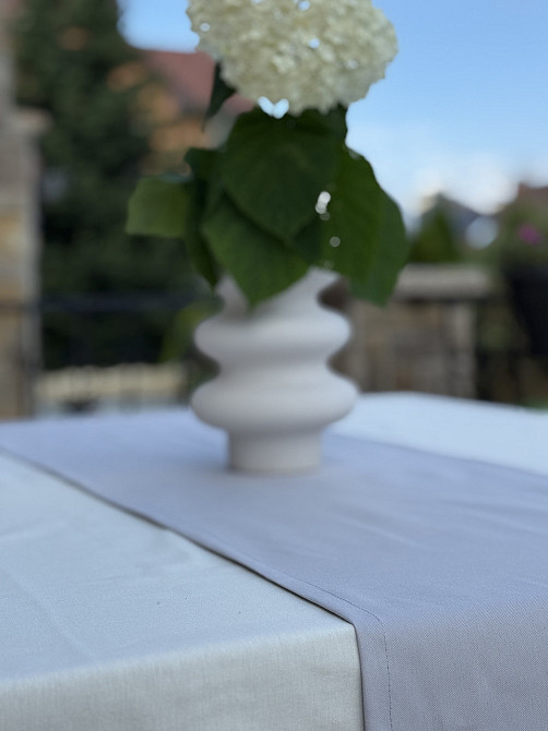 Ecotton Ранер доріжка Ecotton DUCK 45x170 см для обіднього столу водовідштовхувальна сірого кол Коломия - фото 1