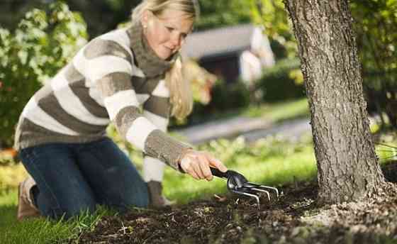 Культиватор Малий Fiskars Premium Planters (137220/1000728) Нововолинськ