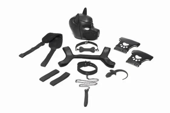 Набір BDSM цуценя Master Series Luxury Pup Arsenal Set - Black Львів