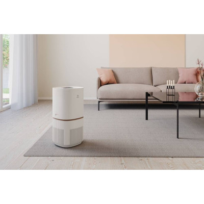 Воздухоочиститель Electrolux EPO50571SW Винница - изображение 2