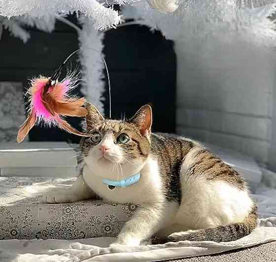 Ошейник с игрушкой для котиков перья з колокольчиком 30 см голубой Киев