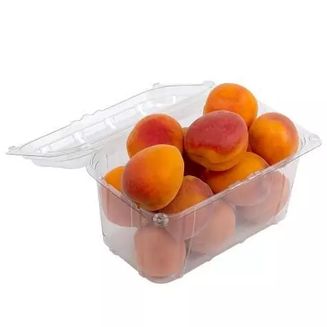 Харчові лотки 1 кг поліпропіленові з кришкою 193×117×111 мм (50 шт) тара для ягід Харків - фото 1