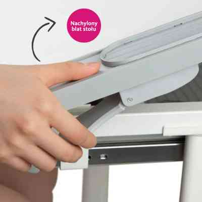 Парта зі стільцем FunDesk Littonia Grey (222529) Вінниця