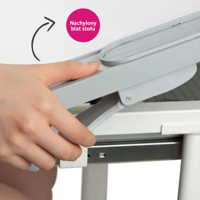 Парта зі стільцем FunDesk Littonia Grey (222529) Вінниця - фото 6