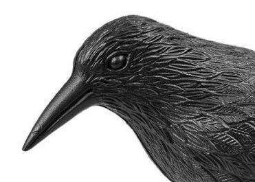 Макет ворона для відлякування птахів Київ - фото 3