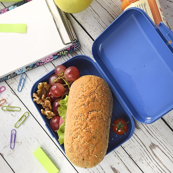 Ланч-бокс 1000мл з малюнком AP-9079 ELIF Житомир - изображение 3