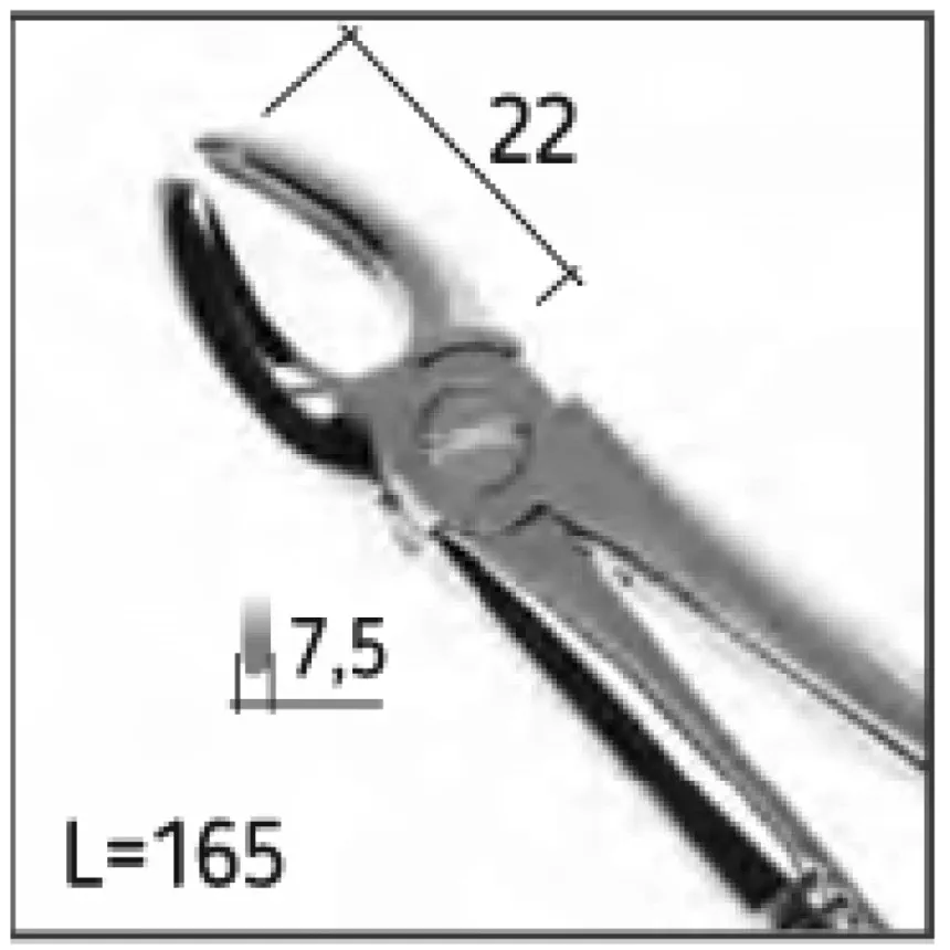 Экстракционные щипцы U.K 95, N0974 Днепр - изображение 2