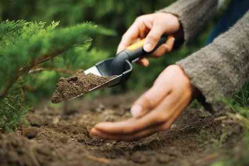 Садовий совок Fiskars 'Premium Planters" (137200/1000726) Нововолинськ