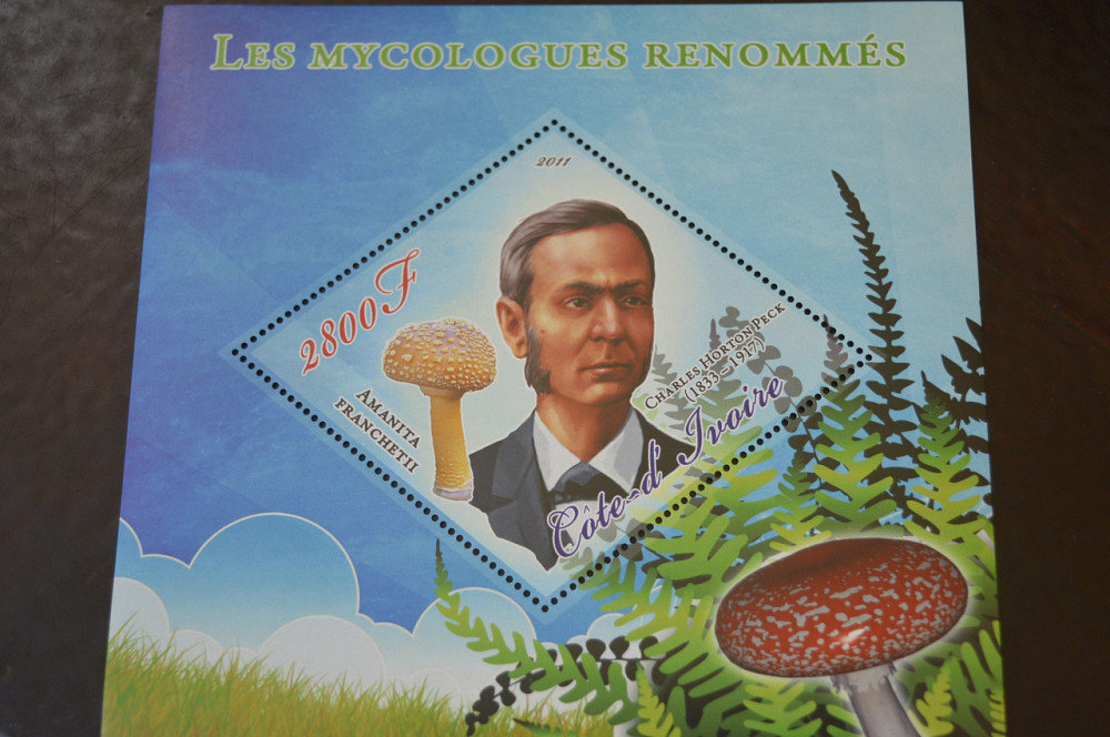 Марки. Особистості. Блок. 2011 рік (А-15) Полтава - изображение 1