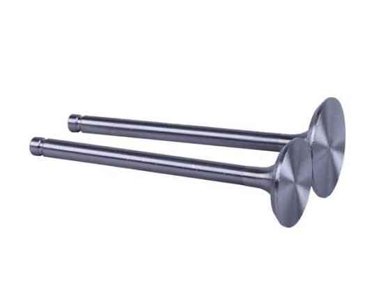 Клапаны  для дизельного двигателя 195N, L-120 мм, к-т 2 шт. Зубр Мукачево