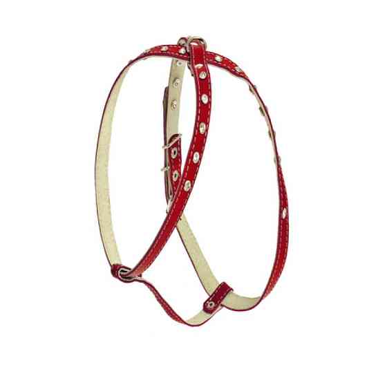 7691 Комплект "ПЕРЛАМУТР" собака №1 прикрашений стразами Золотий Вінниця