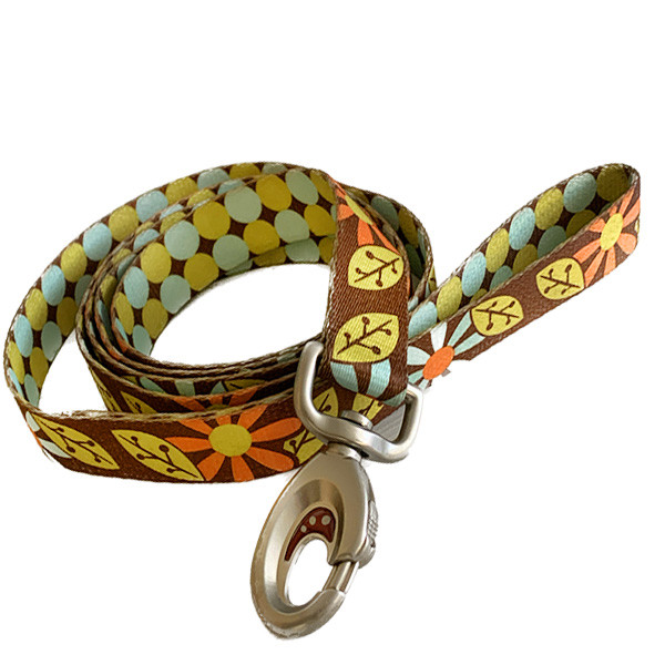 Coastal Sublime КОСТАЛ СУБЛІМ повідець для собак, 2.5смХ1.8м Київ - фото 1
