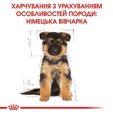 Корм для цуценят породи Німецька вівчарка ROYAL CANIN GERMAN SHEPHERD PUPPY 12.0 кг Київ