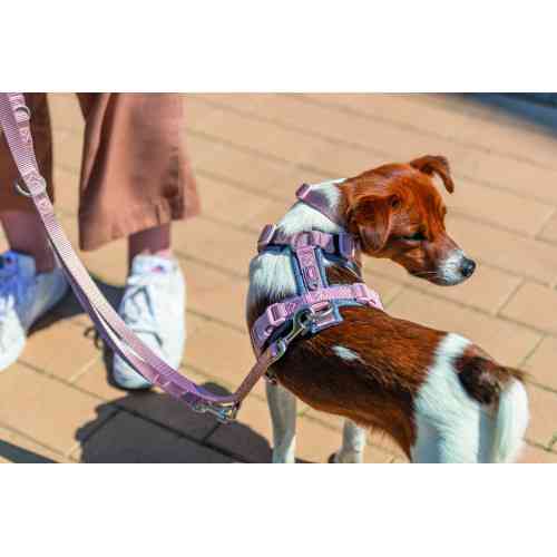 Шлей Trixie Premium для собак трекинговый L 70–85 см 25 мм розово-серый Киев