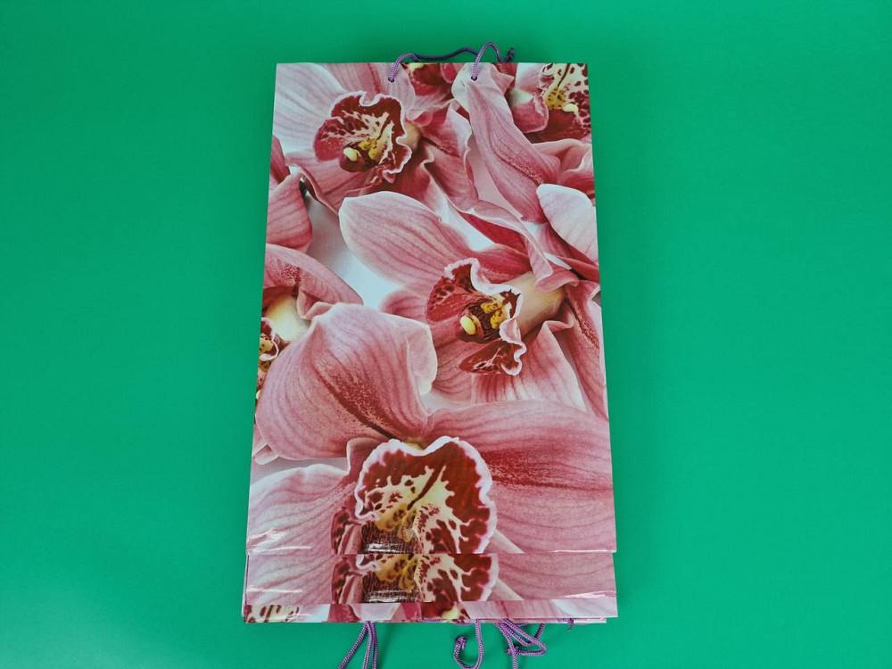 Пакет бумажный гигант вертиркальный (30х42х12)(артGV-094) (12 шт) Харьков - изображение 4