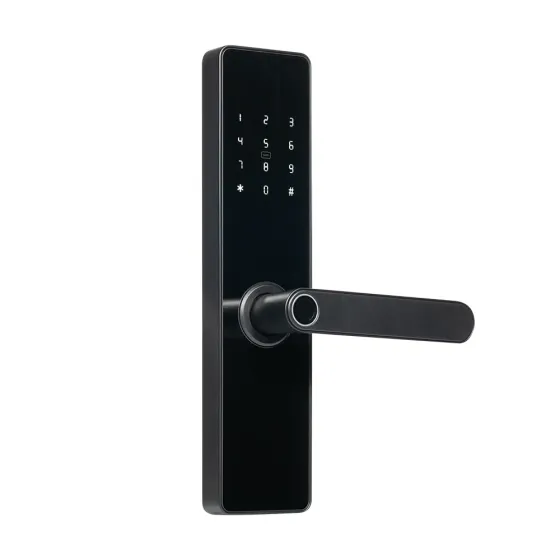 Замок біометричний автономний Trinix TRL-5101BTF Black L/R з Bluetooth, зчитувачем відбитків пальців і карт Mifare (65-00079) Киев