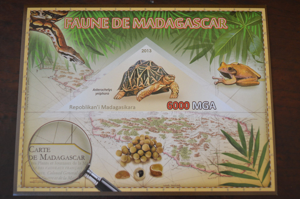 Мадагаскар. Фауна. Личности. Блок. 2014 р. (А-34) Полтава - фото 1