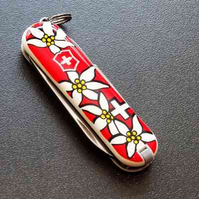 Ніж Victorinox Classic SD Edelweiss (0.6223.840) Вінниця