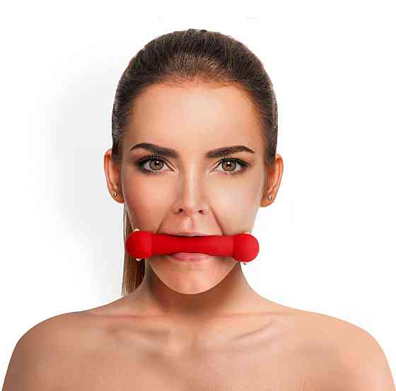 Кляп-палка на ремнях Art of Sex – Gag Stick Silicon, красный, натуральная кожа Sex Aura Киев